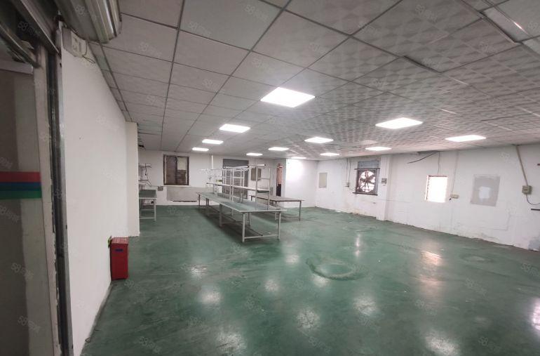 长安沙头楼上260平3500打包水电齐全带办公室工业厂房出租