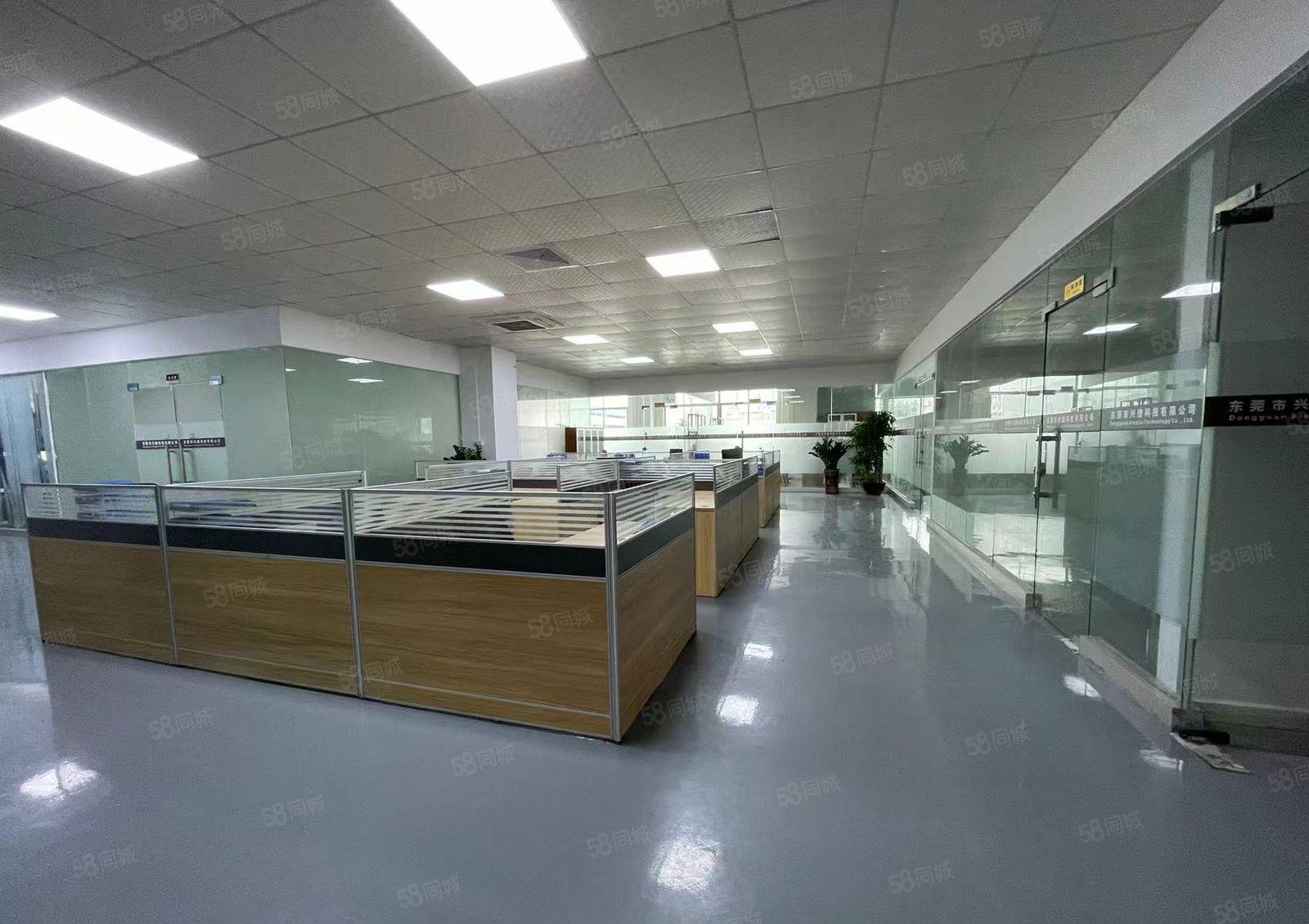 租金低 刚空出长安锦厦楼上2000平厂房急，急，急租