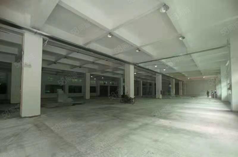 长安镇工业园区独栋标准厂房出租8000平米主干道边交通便利