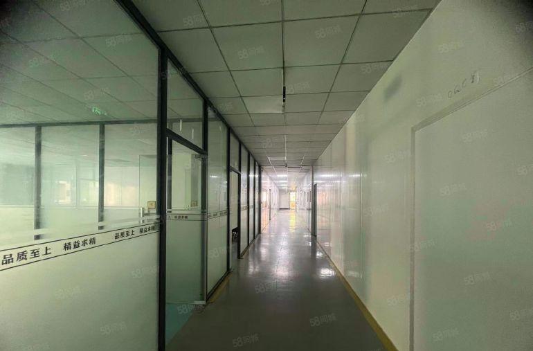 沙头新出小面积厂房280平低价出租