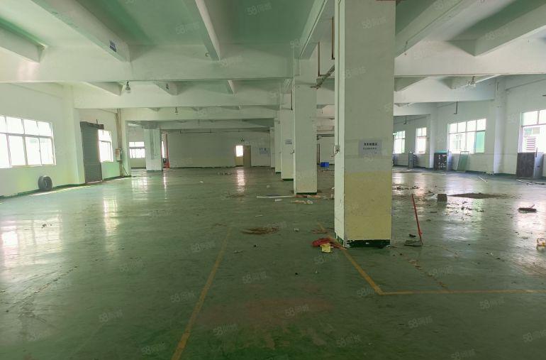 长安镇宵边标准厂房，原房东一楼1000平方，周边生活配套齐全