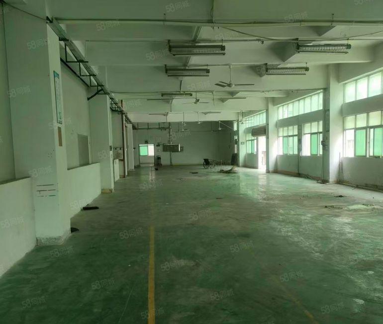 独院厂房出租！长安新民新空出5800平方带宿舍精装修价格便宜