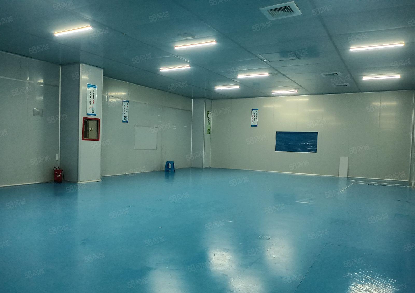 长安上沙新出楼上1200平无尘车间出租