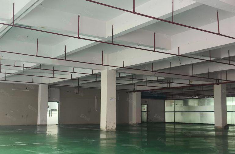 房东直租，长安涌头700平厂房，带精装办公室，园区空地大