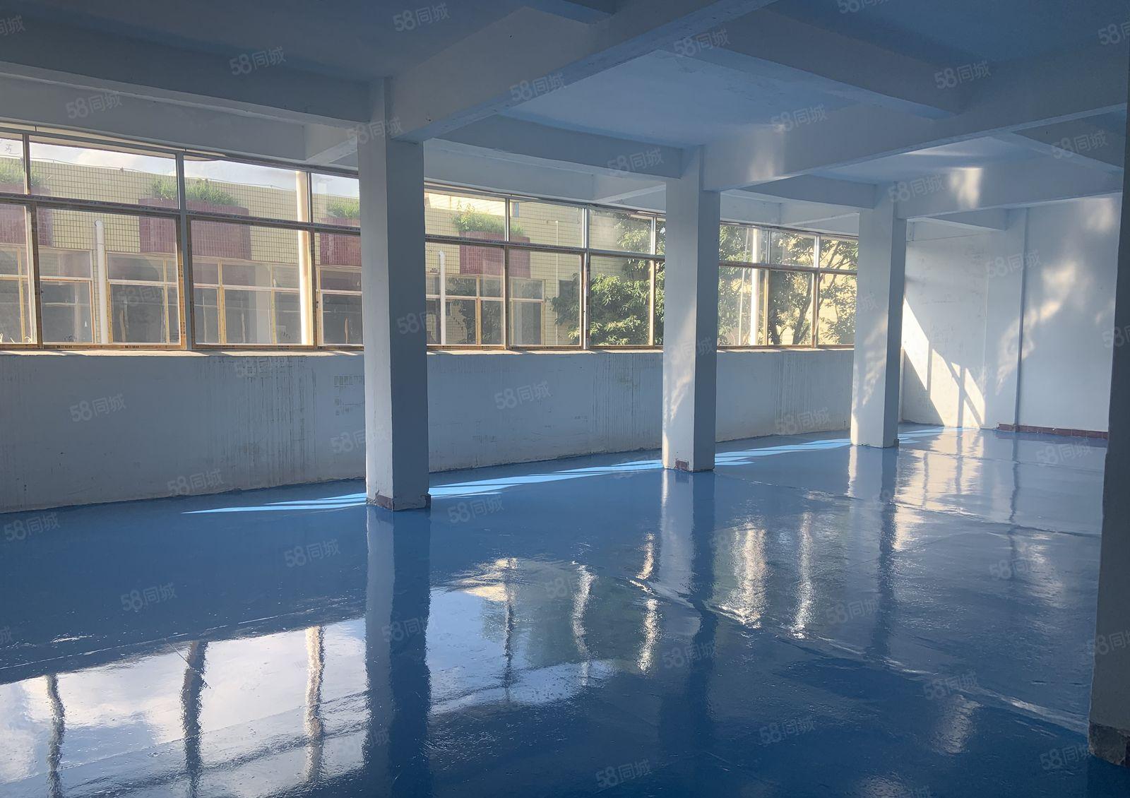 霄边厂房出租低价停车位充足22万平方无尘车间可进18米大货车