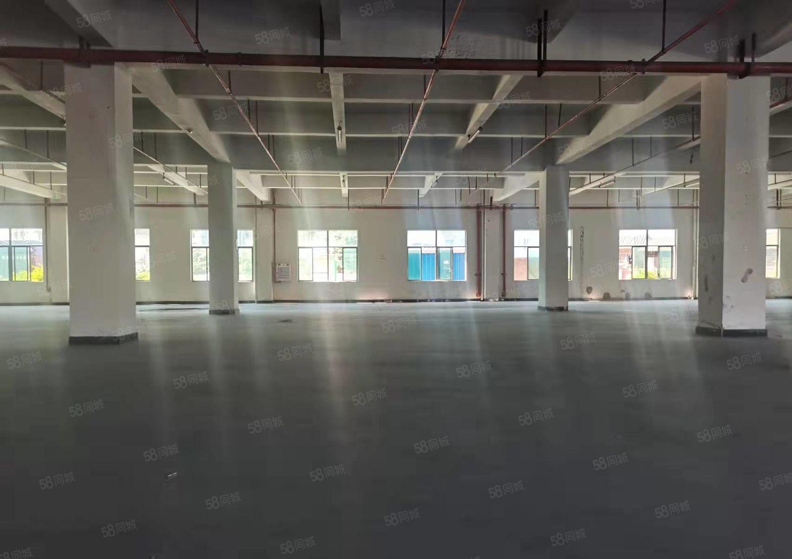 长安镇咸西社区一楼整层3000平方厂房出租 主线到位