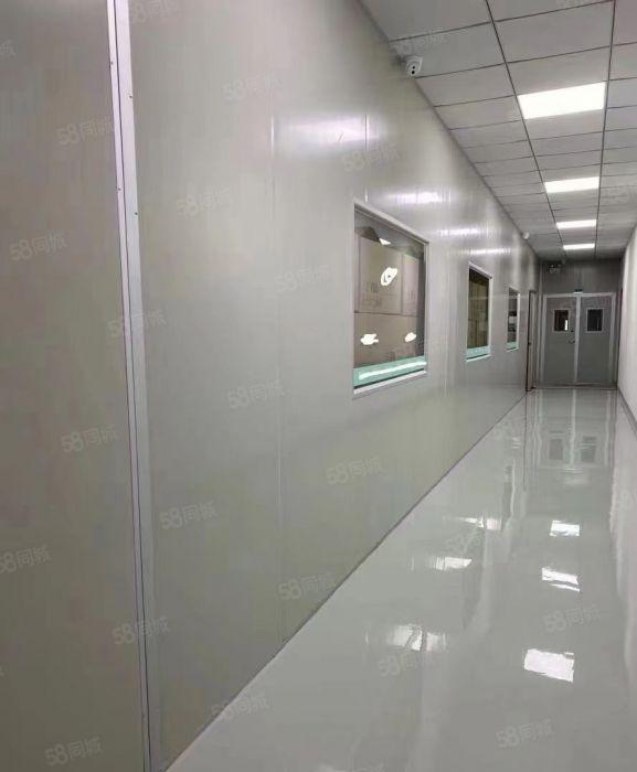 长安镇乌沙社区新出楼上2380平千级无尘车间厂房出租
