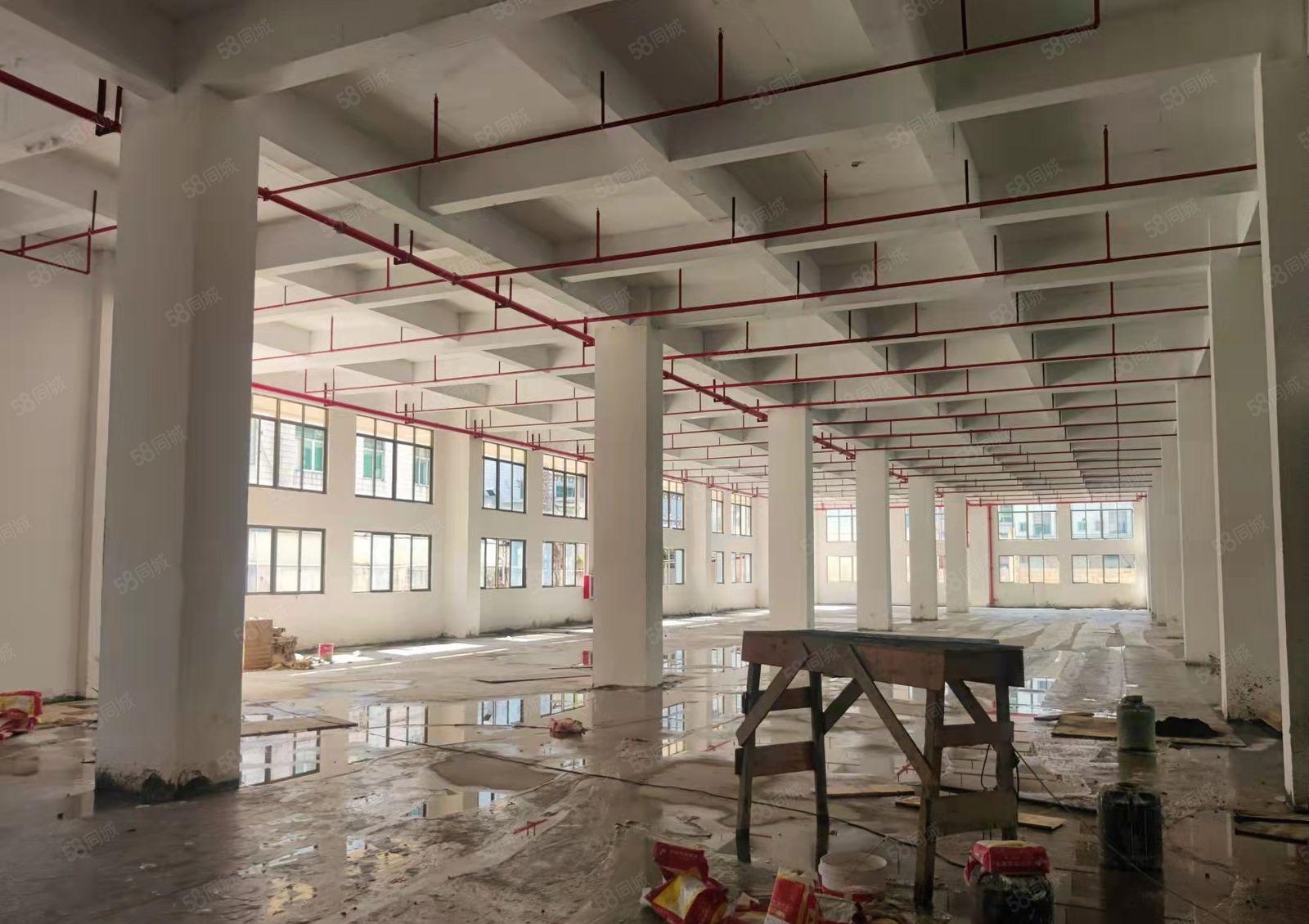 原房东 长安沙头新出标准厂房一楼2000平 租金低 水电齐