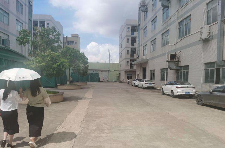 12元免费转让东莞长安办公室厂房仓库出租精装修好停车