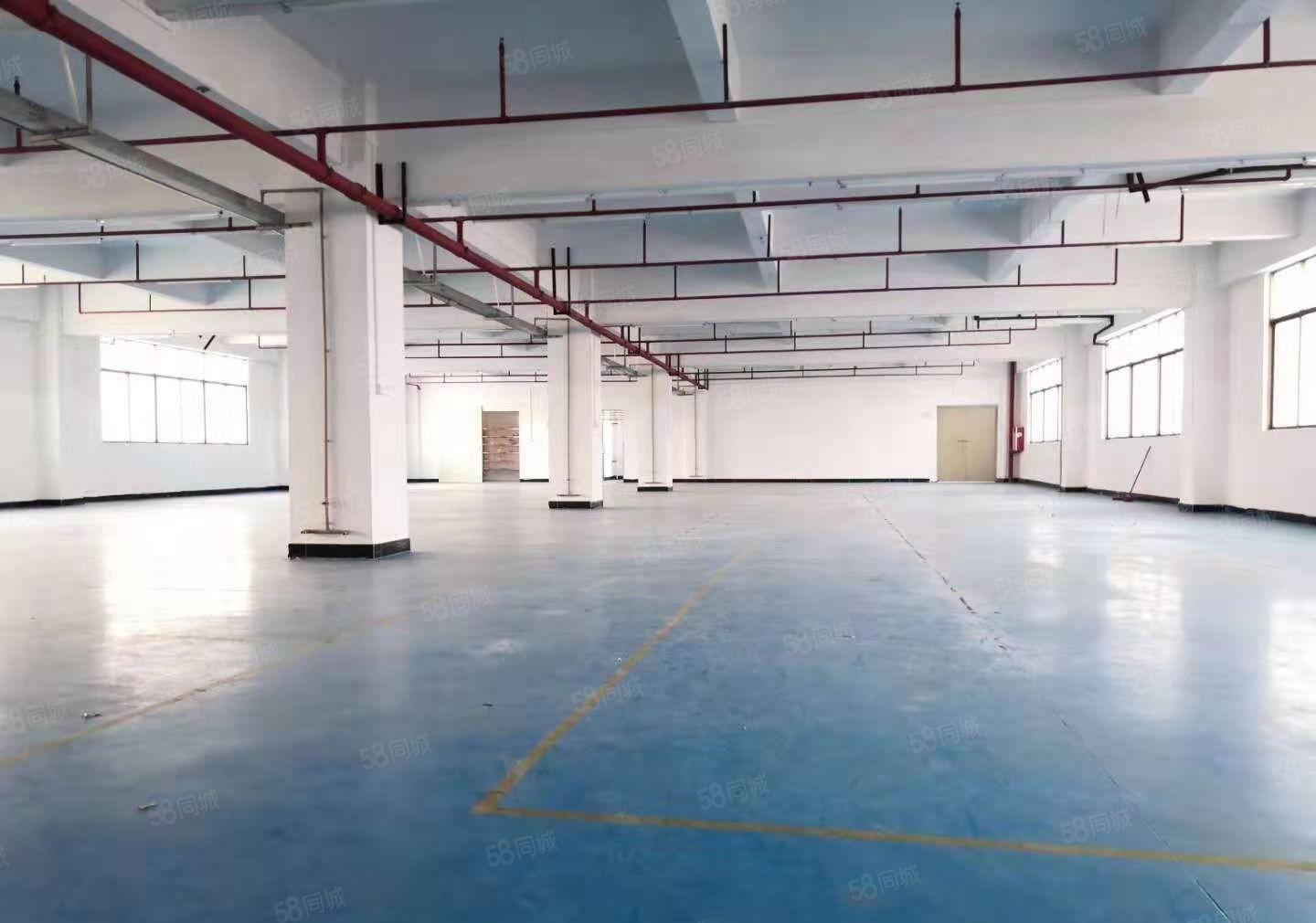 刚搬空楼上1000平米，工业厂房出租水电齐全，带精装修办公室