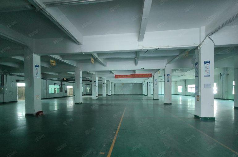 园区标准一二楼厂房出租 空地大 适合电子 模具 设备 电商