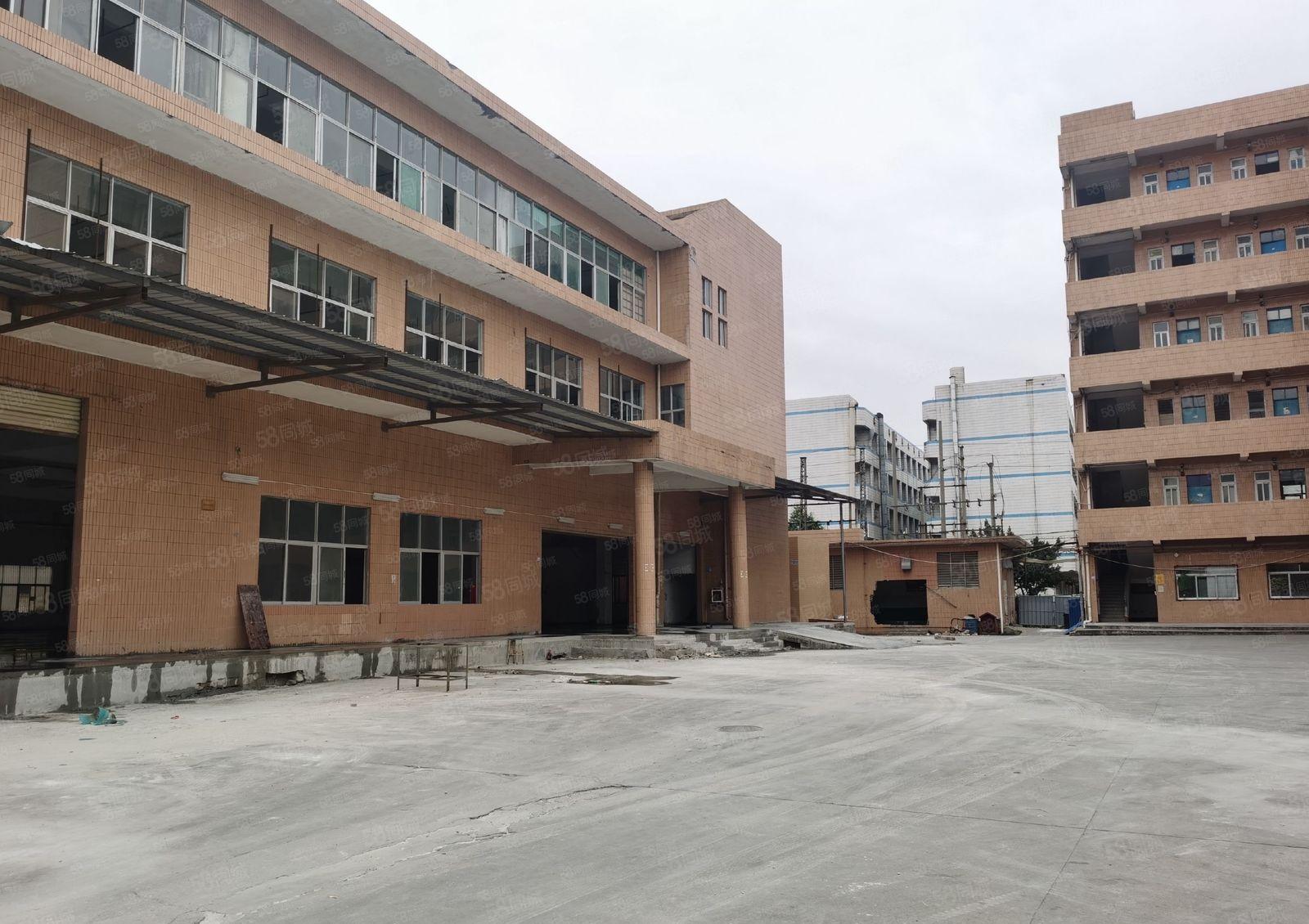 长安镇G107旁独院一楼3000平厂房出租带牛角可办环评