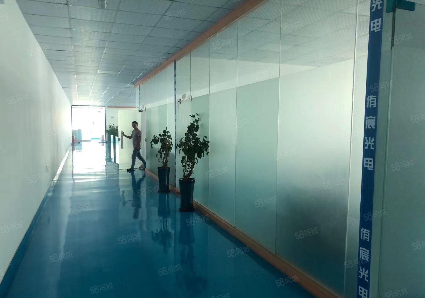 长安镇原房东红本独门独院厂房37000平方，宿舍13000平