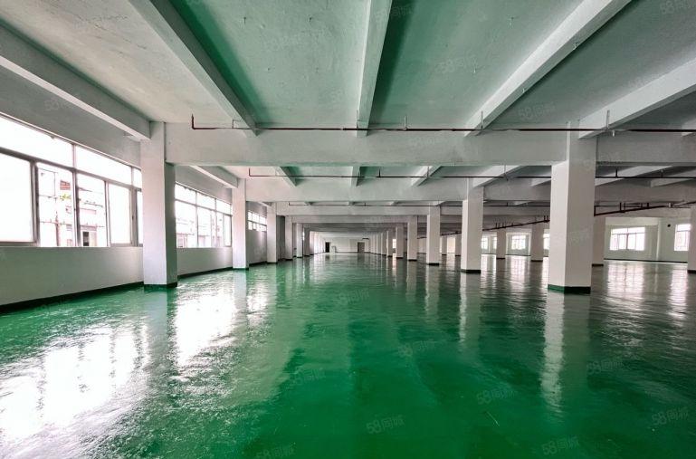 长安锦厦独院2000平厂房出租 临界深圳 低价出租 水电齐全