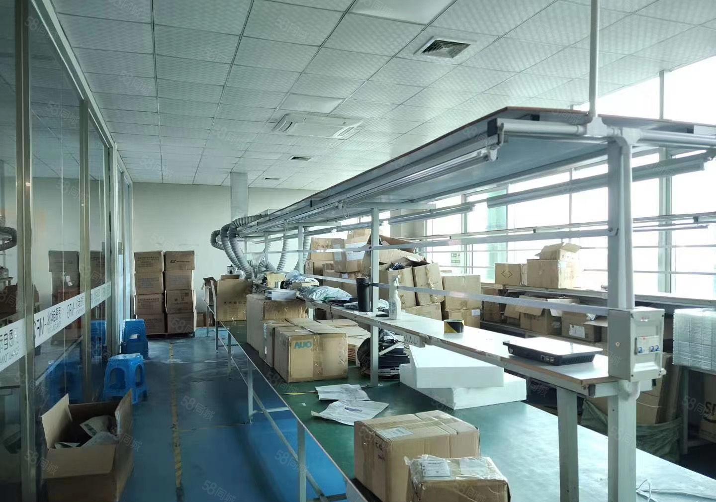 出租长安镇新安社区2楼1000平，生活商业一体化