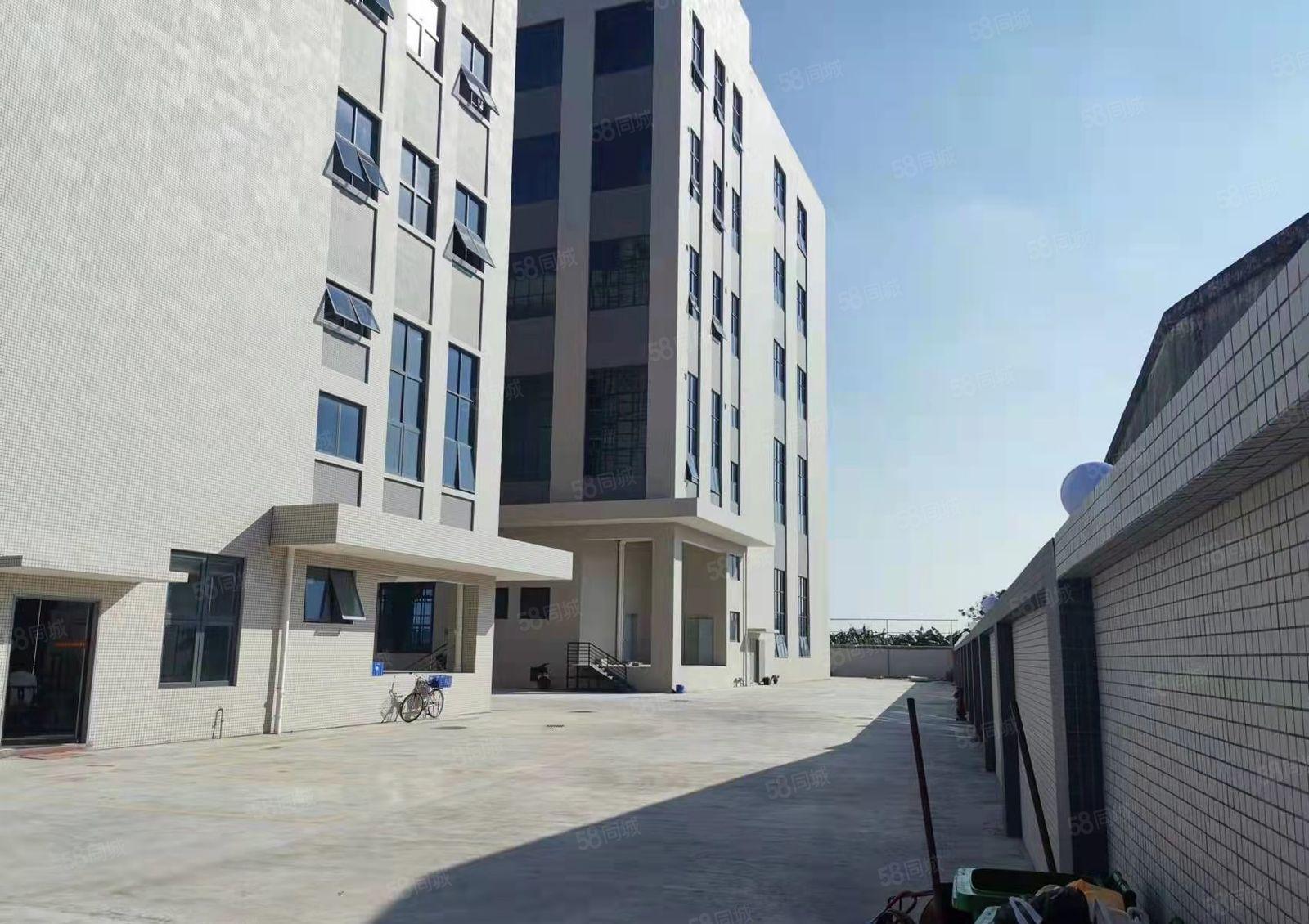 长安临近厚街新出独门独院标准厂房出租，形象地理位置优越