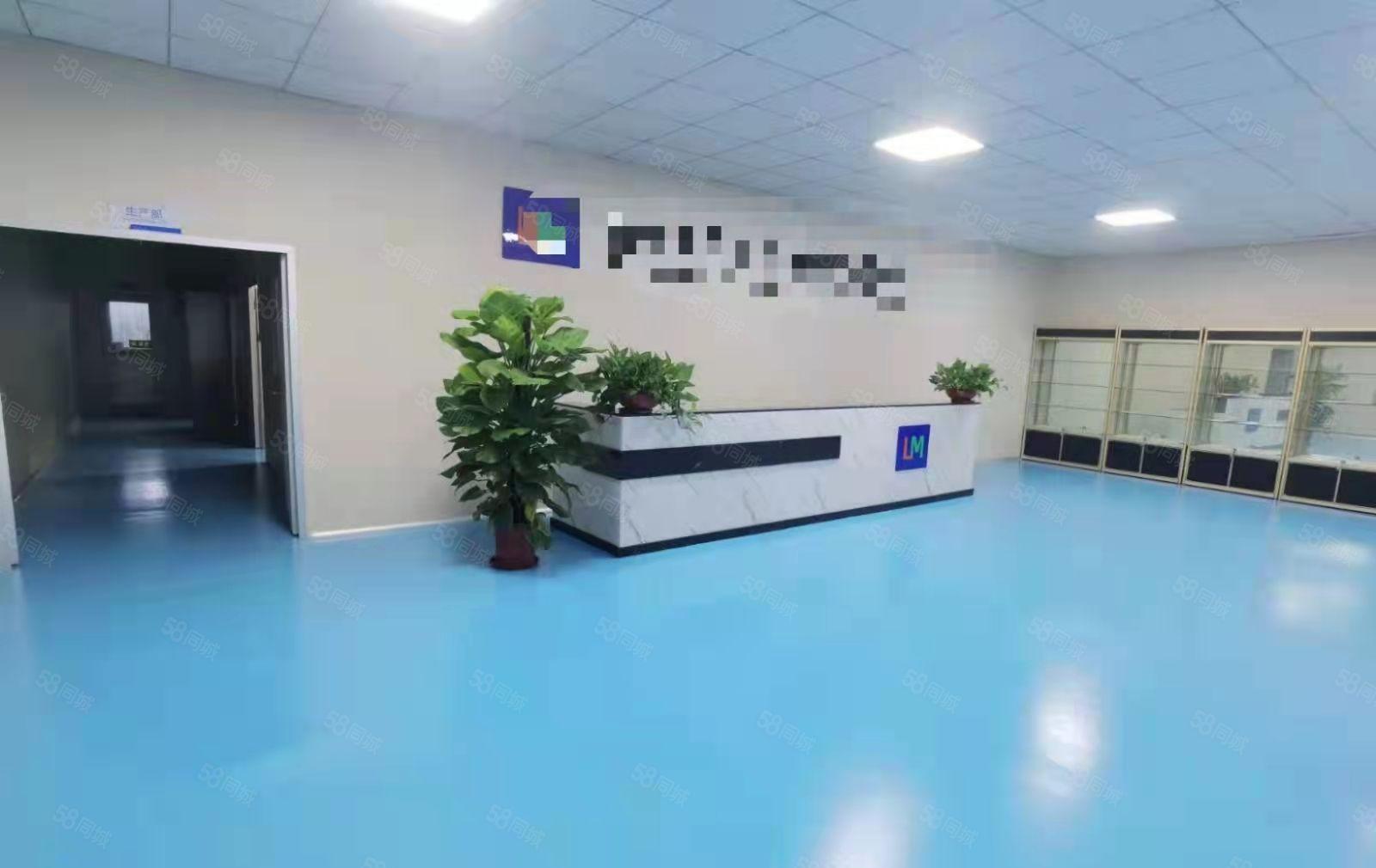 豪华装修水电齐全标准厂房整层出租