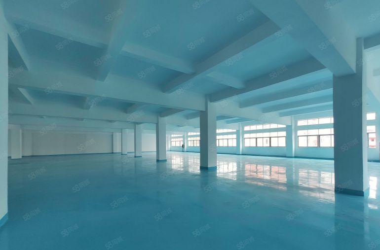 三楼1500平15块 精装修 长安上沙低价工业厂房出租