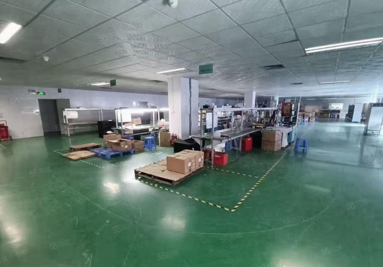 豪华装修，水电齐全，带办公室