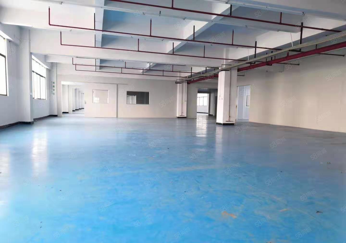 刚搬空楼上1000平米，工业厂房出租水电齐全，带精装修办公室