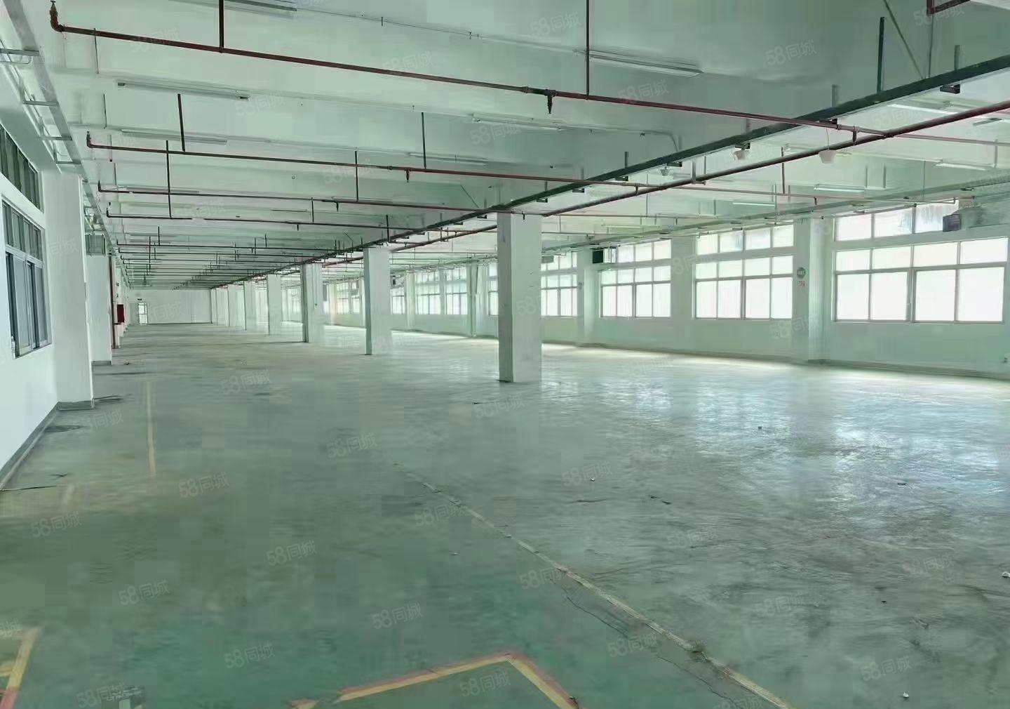 长安自带喷油注塑超声波清洗等涉水涉气环评兼普通行业均可