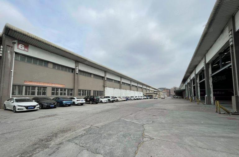 长安镇工业园区独栋钢构厂房出租1万平方，滴水9米高形象好