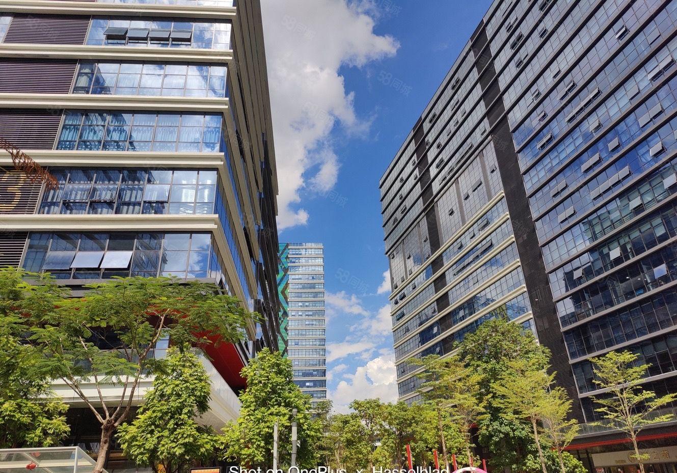 东莞长安原房东工业园区全新厂房20000平厂房出租200起分