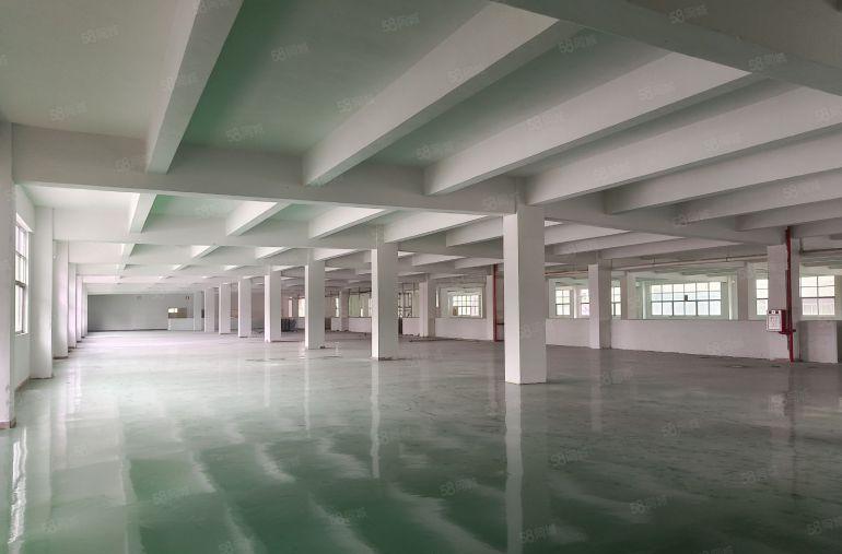 一楼500平方起租 楼上240平方起厂房招租长安沙头