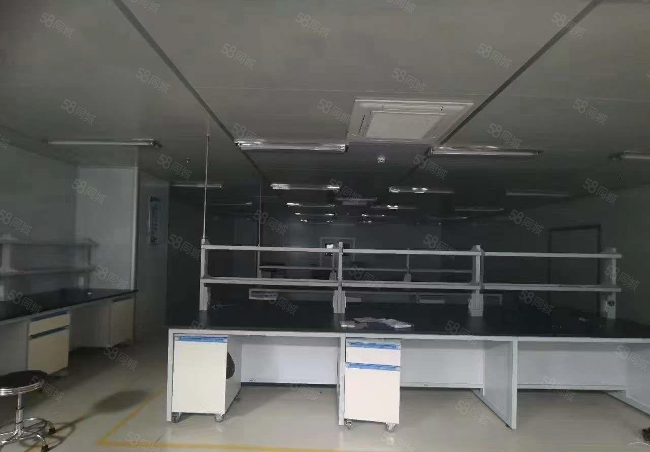 长安镇沙头社区两层无尘车间厂房出租7800平无转让费 可分租