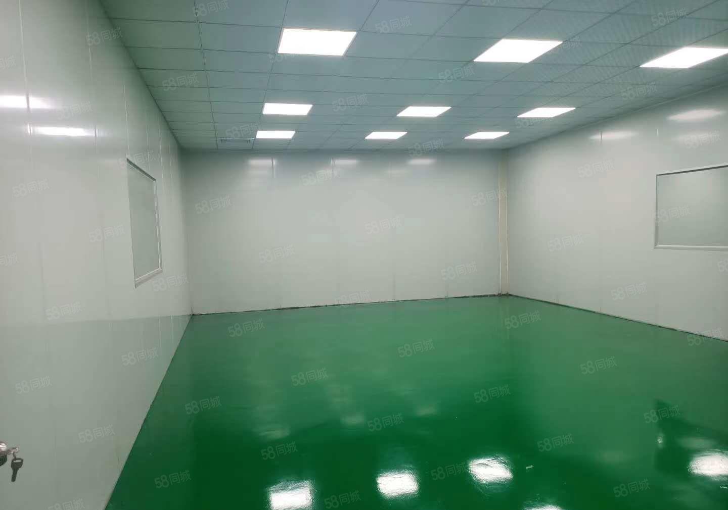 靓盘长安上沙一楼1300平，带5吨大航吊，豪华装修