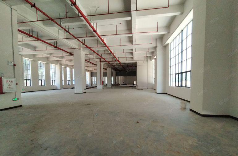 长安镇靠107国道边原房东全新红本厂房，主线已拉到车间