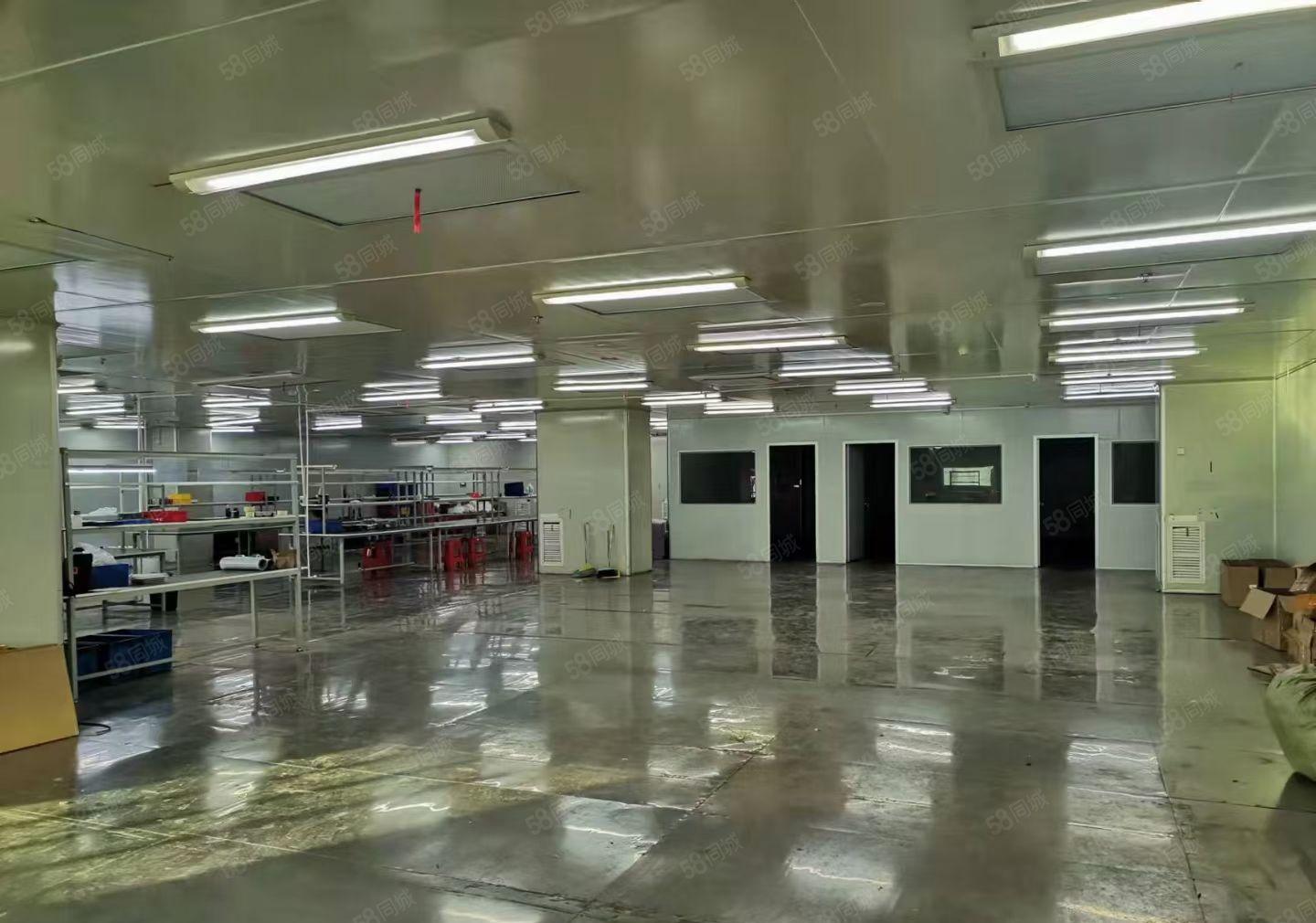长安沙头成熟工业区楼上整层2000平方无尘车间，不用转让费