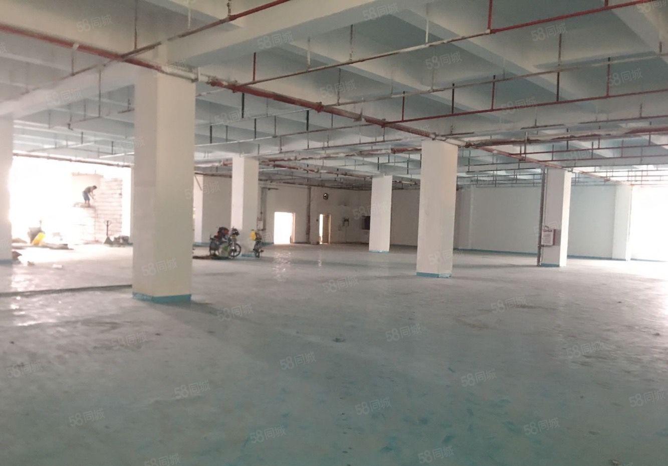 太安路旁边 易招工空地大 带精装修大小可分水电齐全 临近深圳