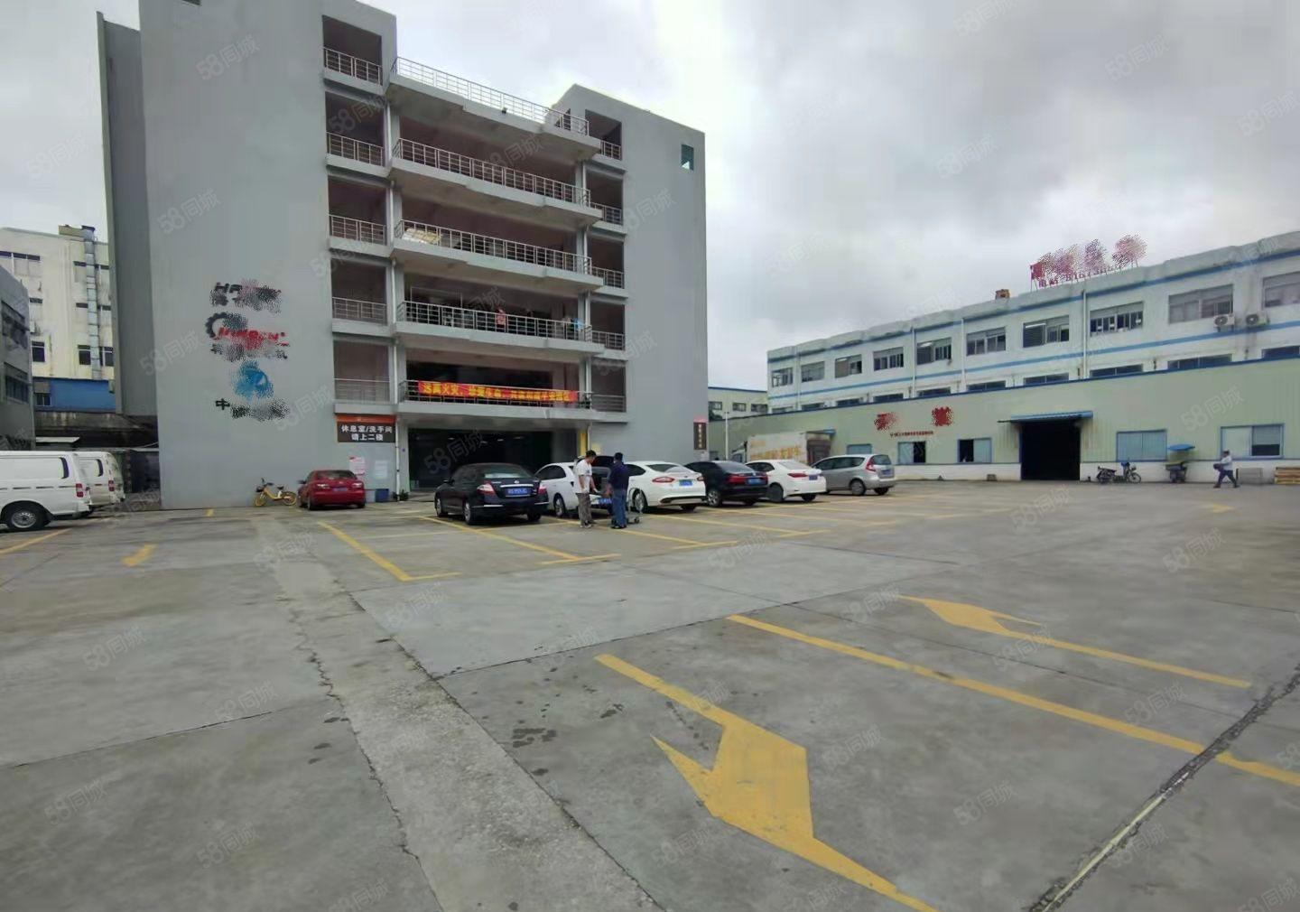 急租长安镇霄边社区空出原房东1楼900平方出租 无杂费