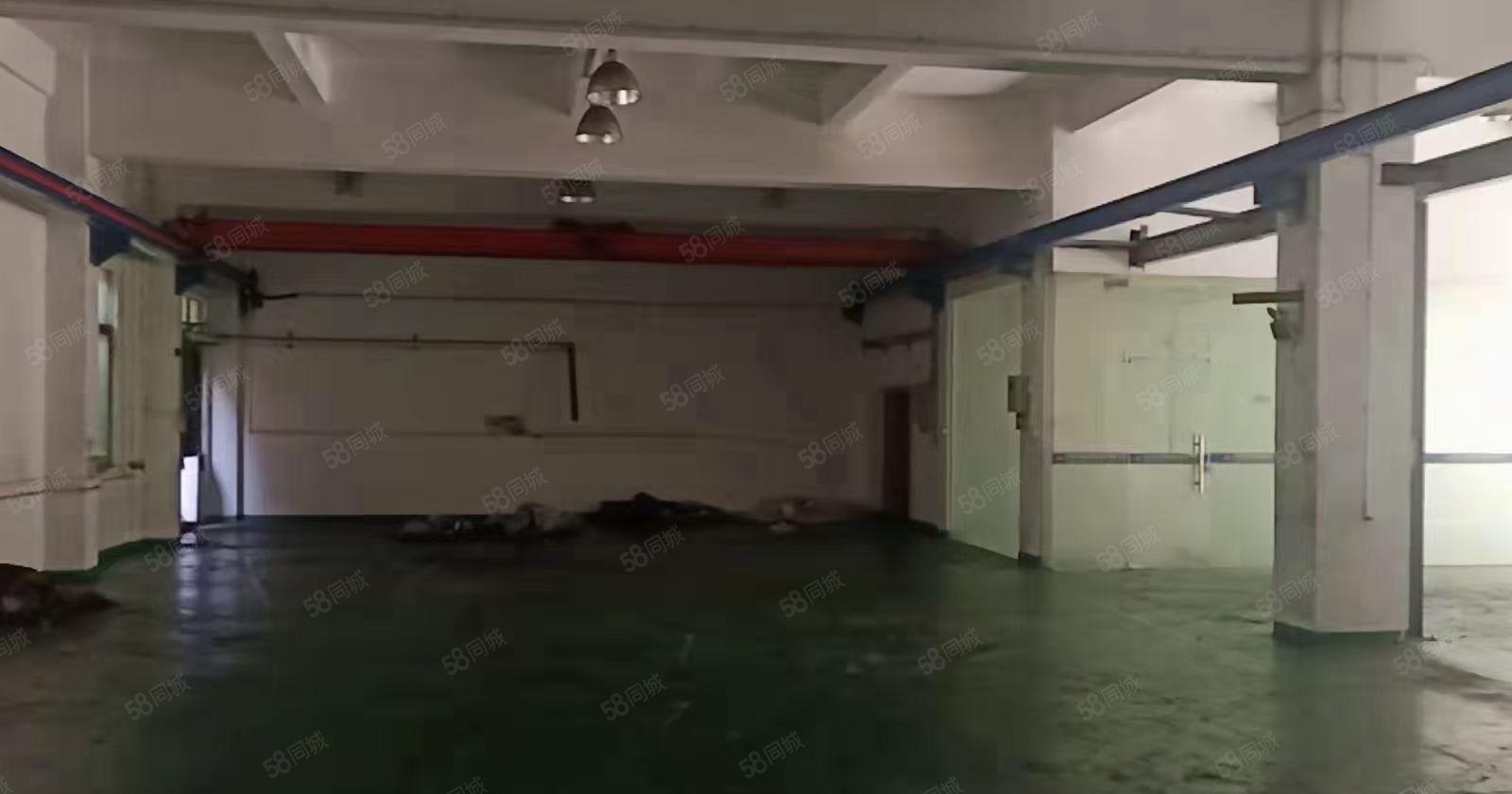 新出一楼厂房650平带航车带办公室形象好空地大