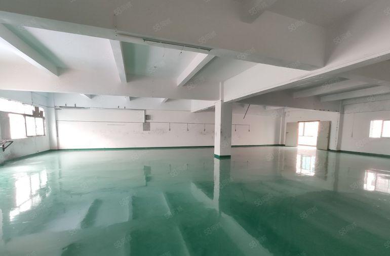 长安上沙新空出二楼460平5500块打包全新装修工业厂房出租