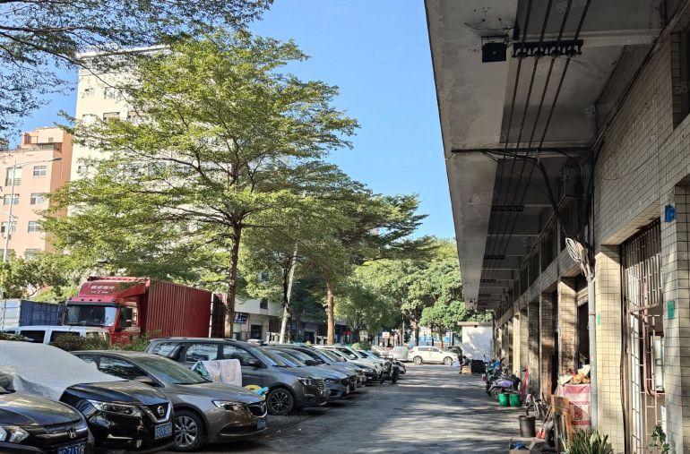 东莞长安涌头华兴工业园一楼厂房原房东直租