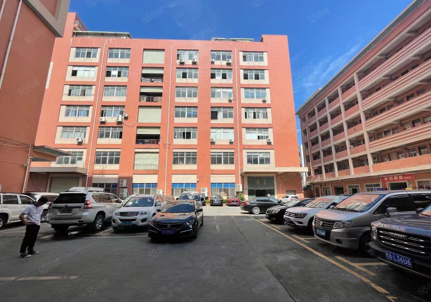 豪华装修水电齐全标准厂房