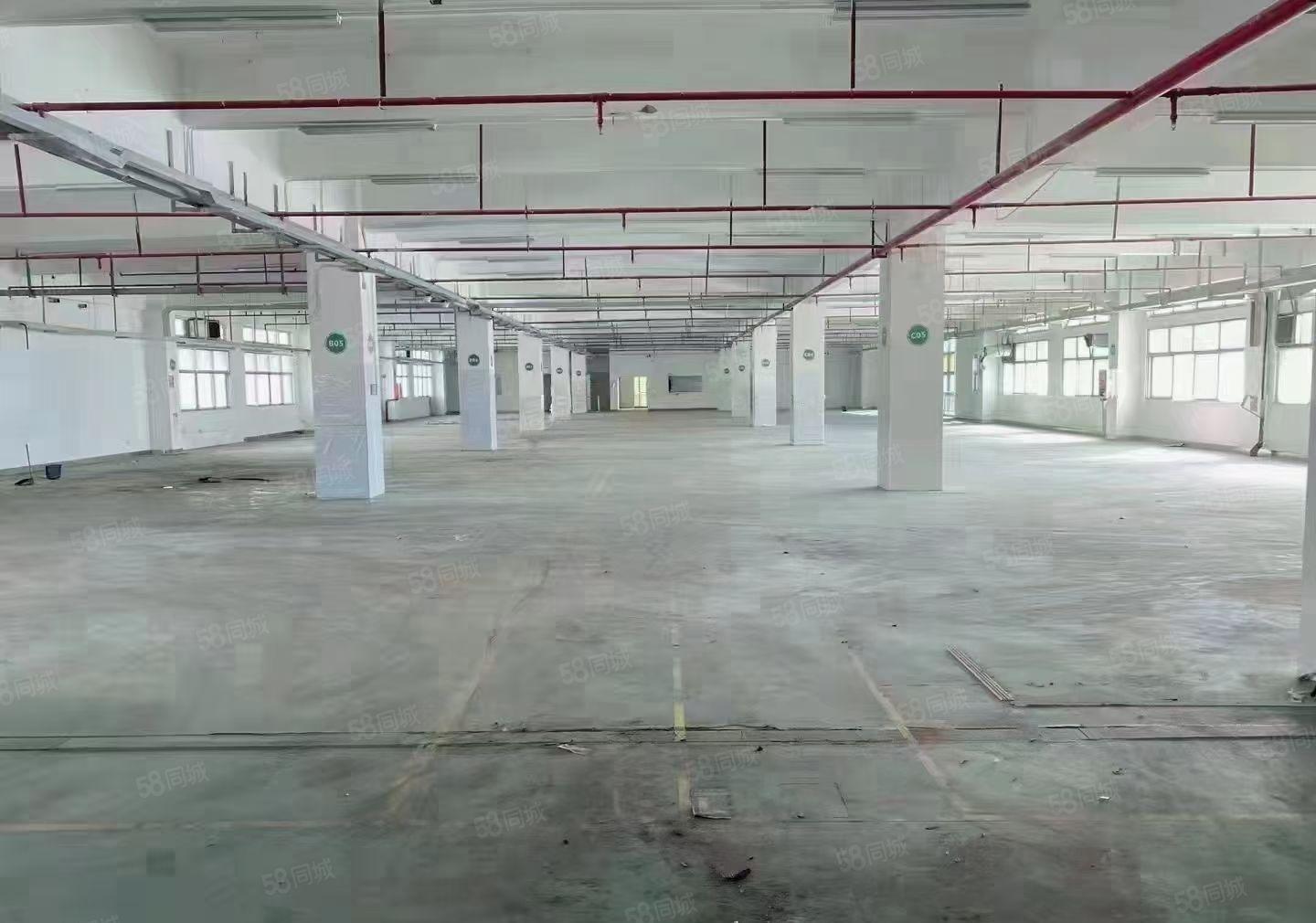 长安自带喷油注塑超声波清洗等涉水涉气环评兼普通行业均可