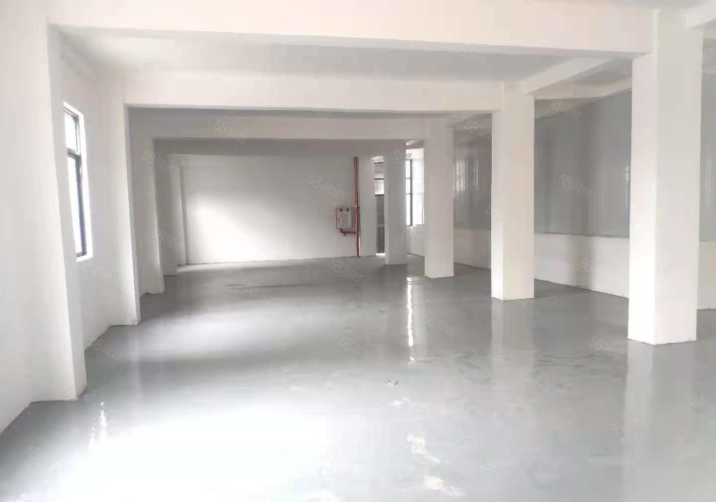 出租厂房，原房东长安锦厦多层厂房和铺面，全新装修