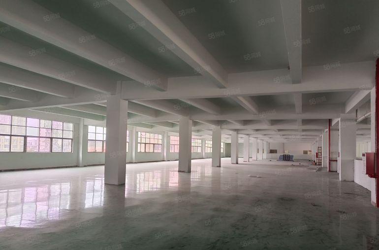 一楼500平方起租 楼上240平方起厂房招租长安沙头