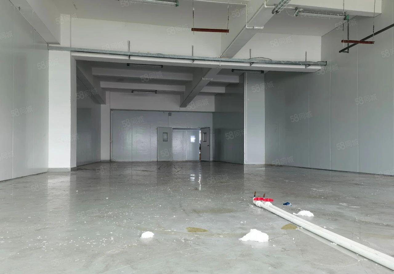 靓盘！长安厂房出租，小面积地坪漆无尘车间，电子客户福音