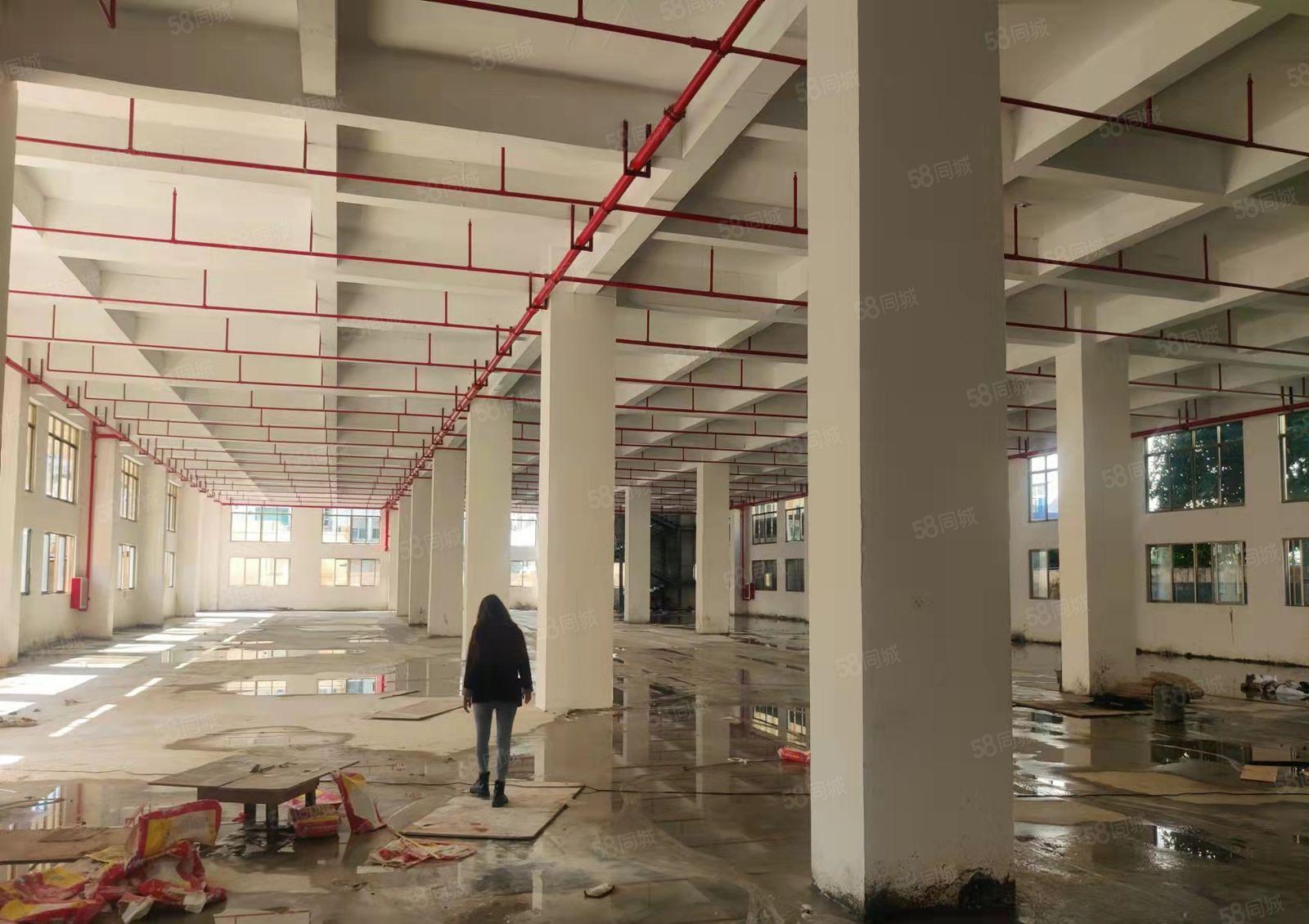 原房东 长安沙头新出标准厂房一楼2000平 租金低 水电齐