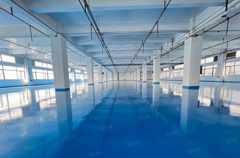 长安沙头精装修1500平厂房出租 可分租 低价出租 加工