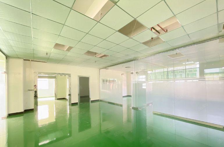 沙头南区楼上4800平，260平起分租，光线好，停车位多