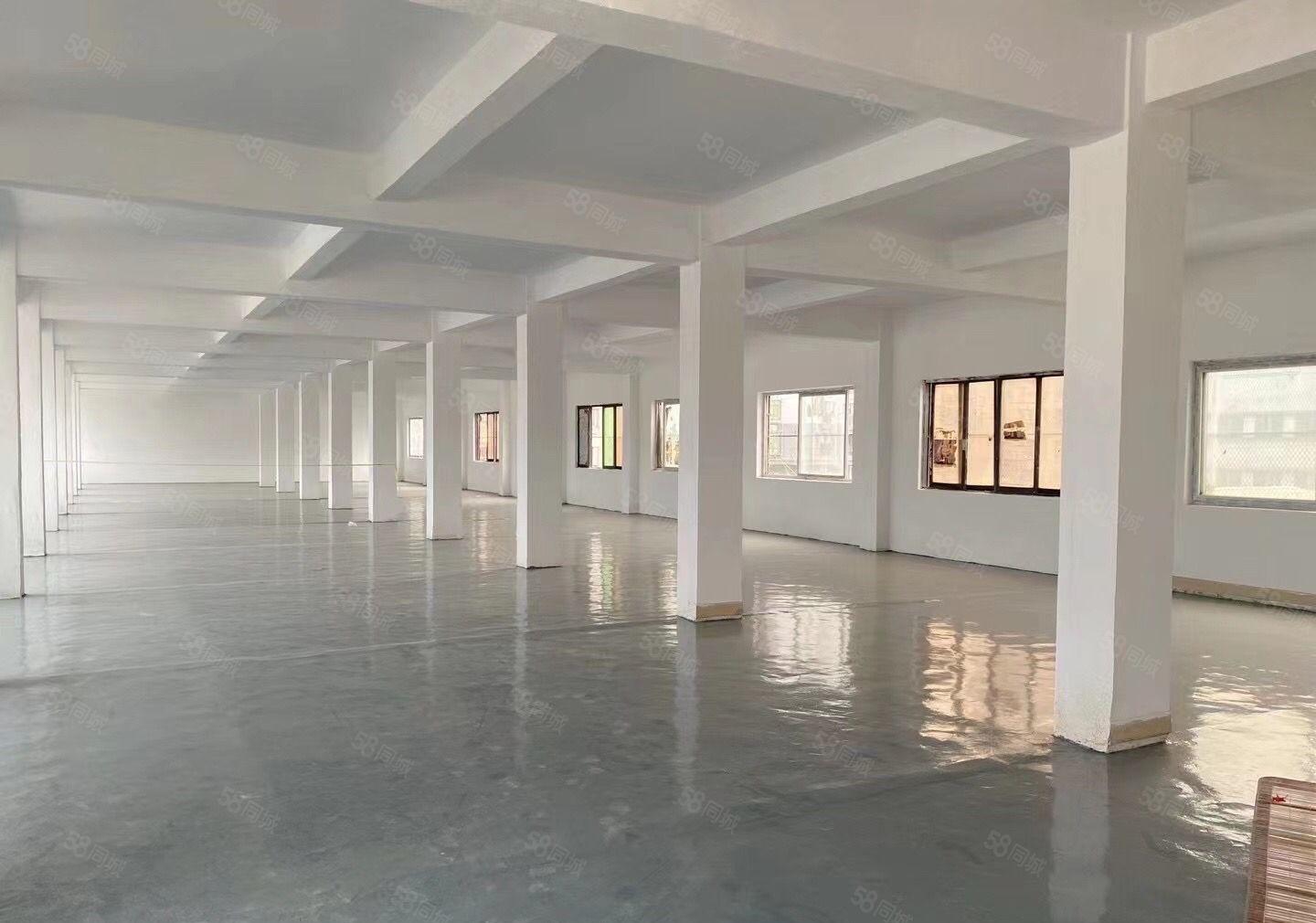 长安厦边原房东独院分租200平起分