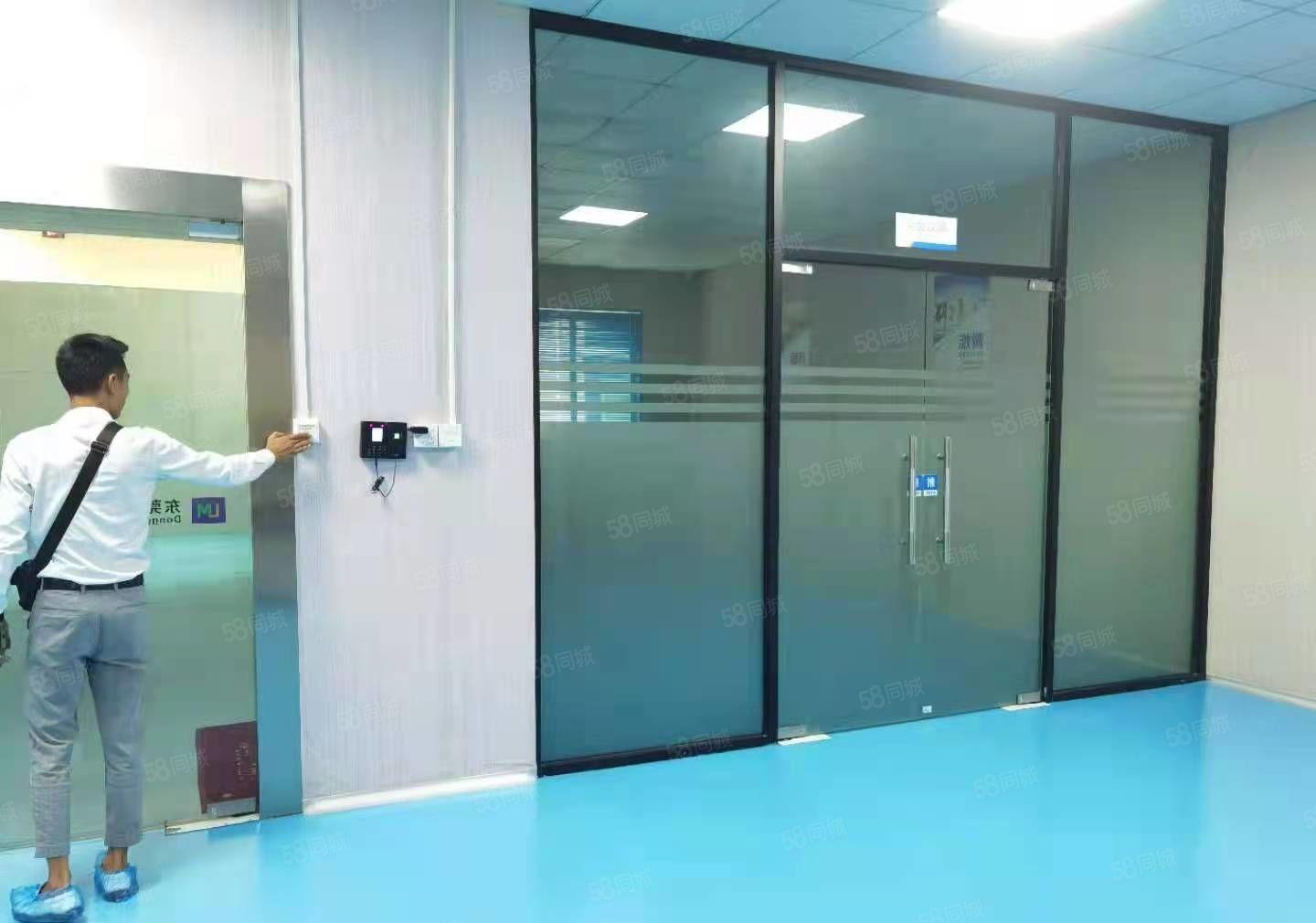 豪华装修水电齐全标准厂房整层出租