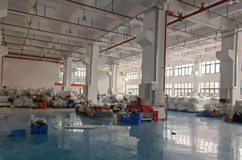 新出一楼厂房4500平6.5米高可分租形象好空地超大