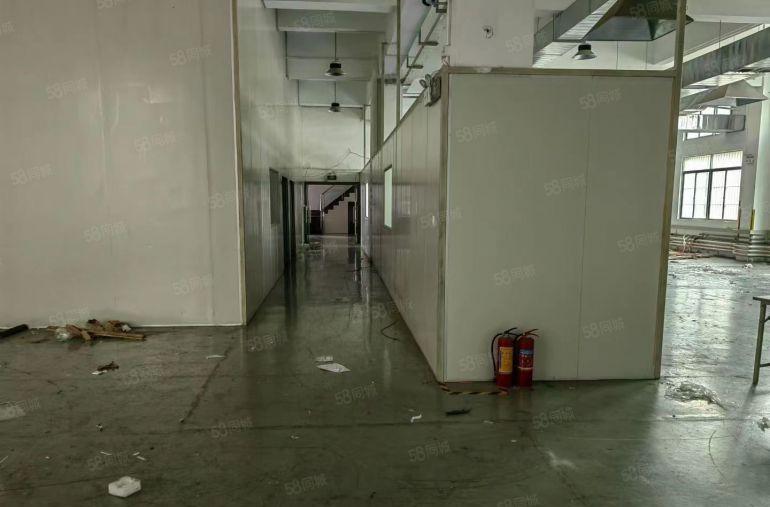 长安镇增街口新空出一楼1280平精装修带办公室低价厂房出租