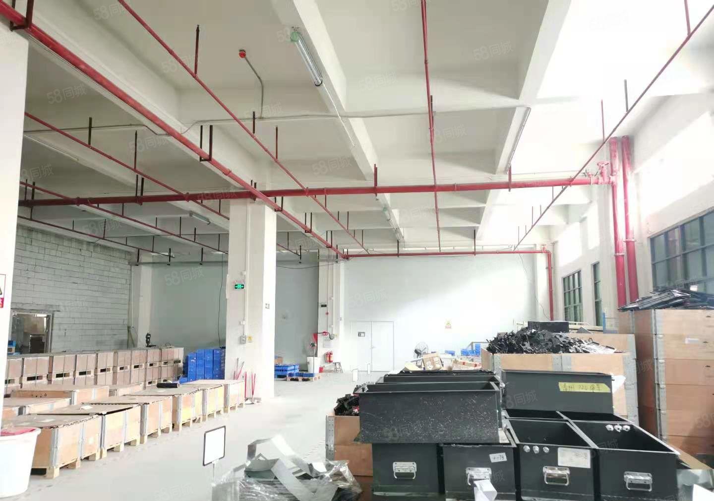 出租长安沙头东大街附近，一楼1200平，价格优惠